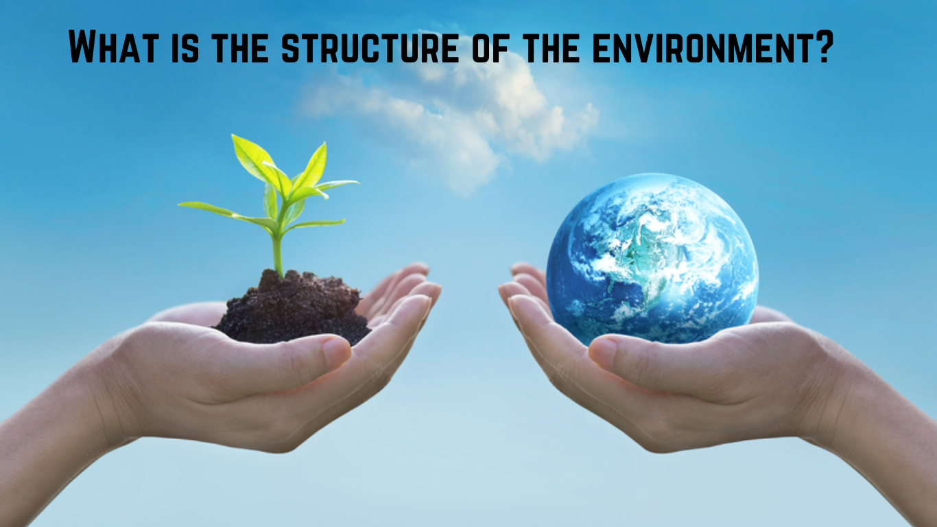 What is the structure of the environment?